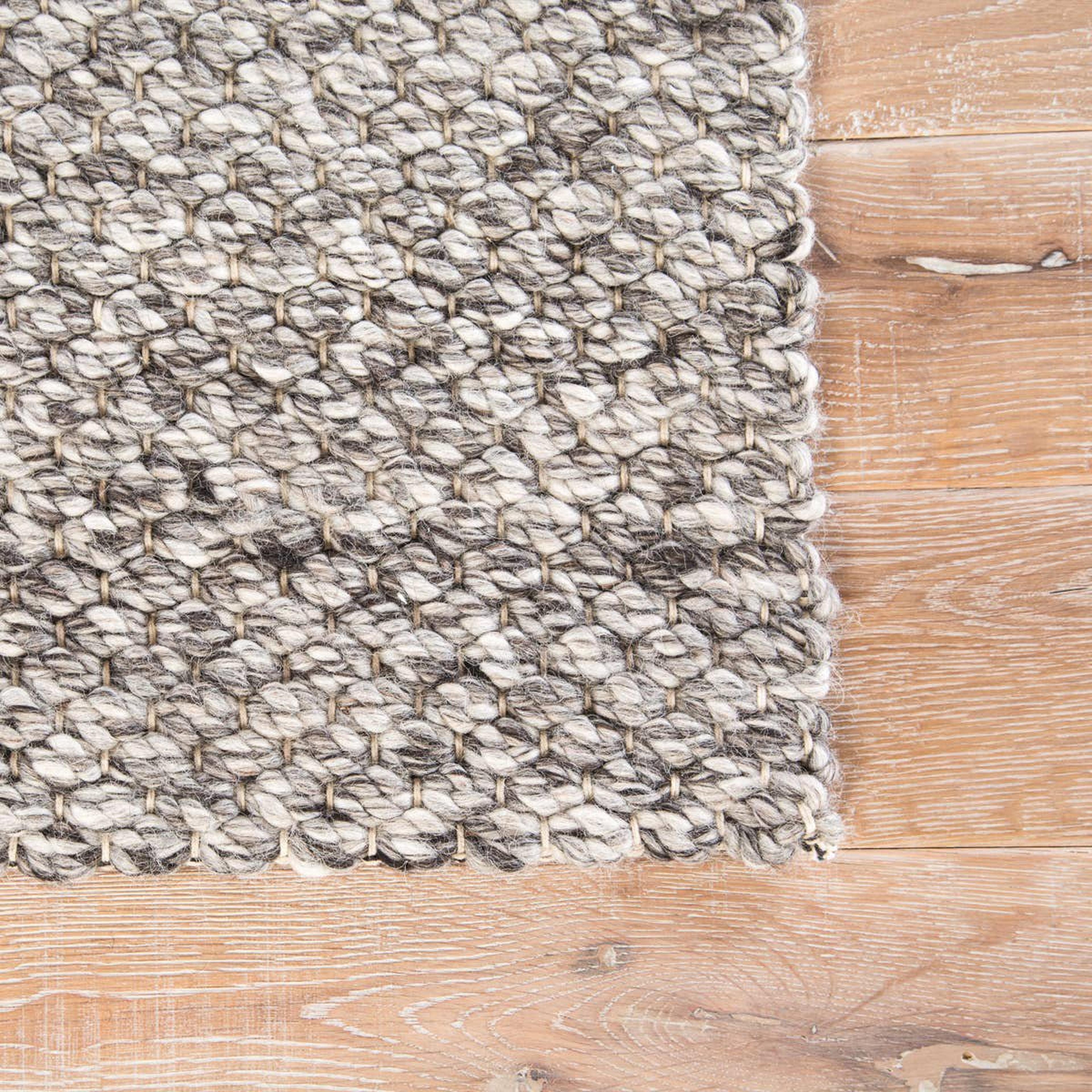 A Kariana Handwoven Rug with Gray / Neutrals color