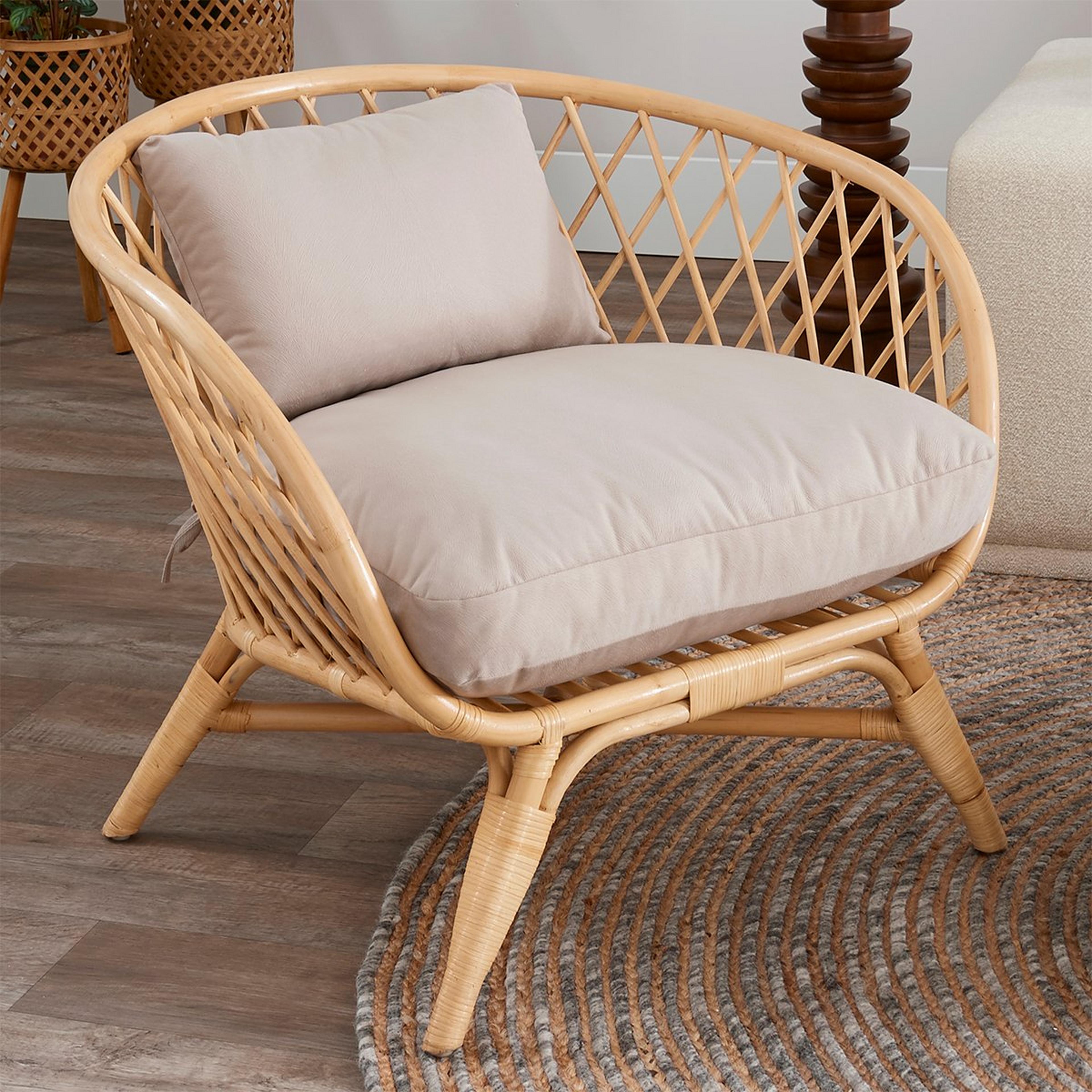 A Aster Chair with Natural Rattan / Gray Upholstery  color