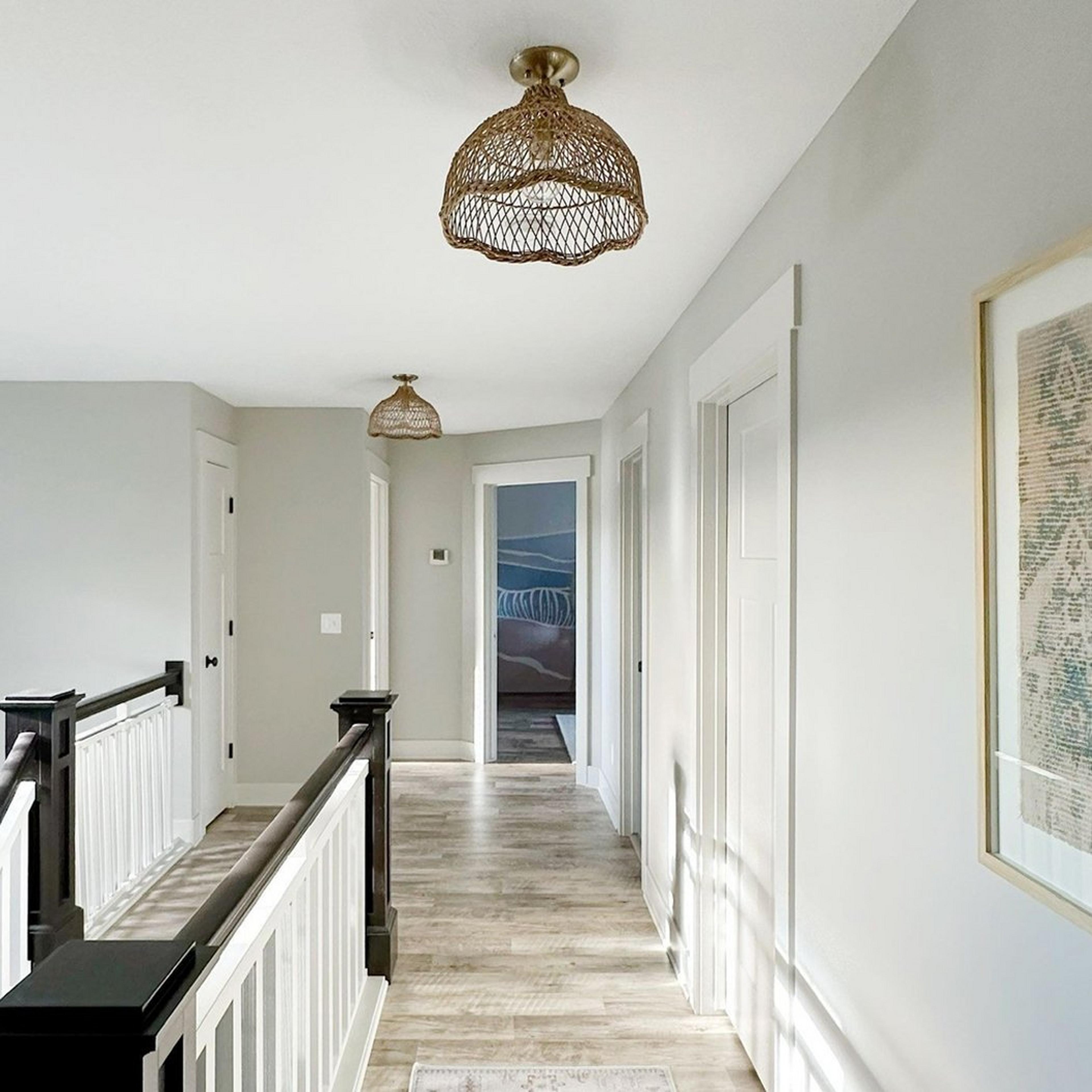 Two sculpted cage pendants hanging in a hallway