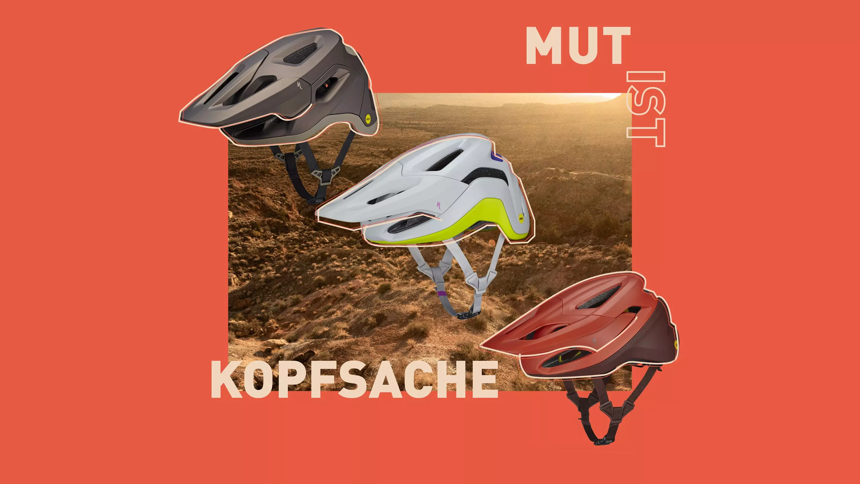 fahrrad schutzblech streben Schutzblechstreben CARGOCA  Jetzt kaufen!