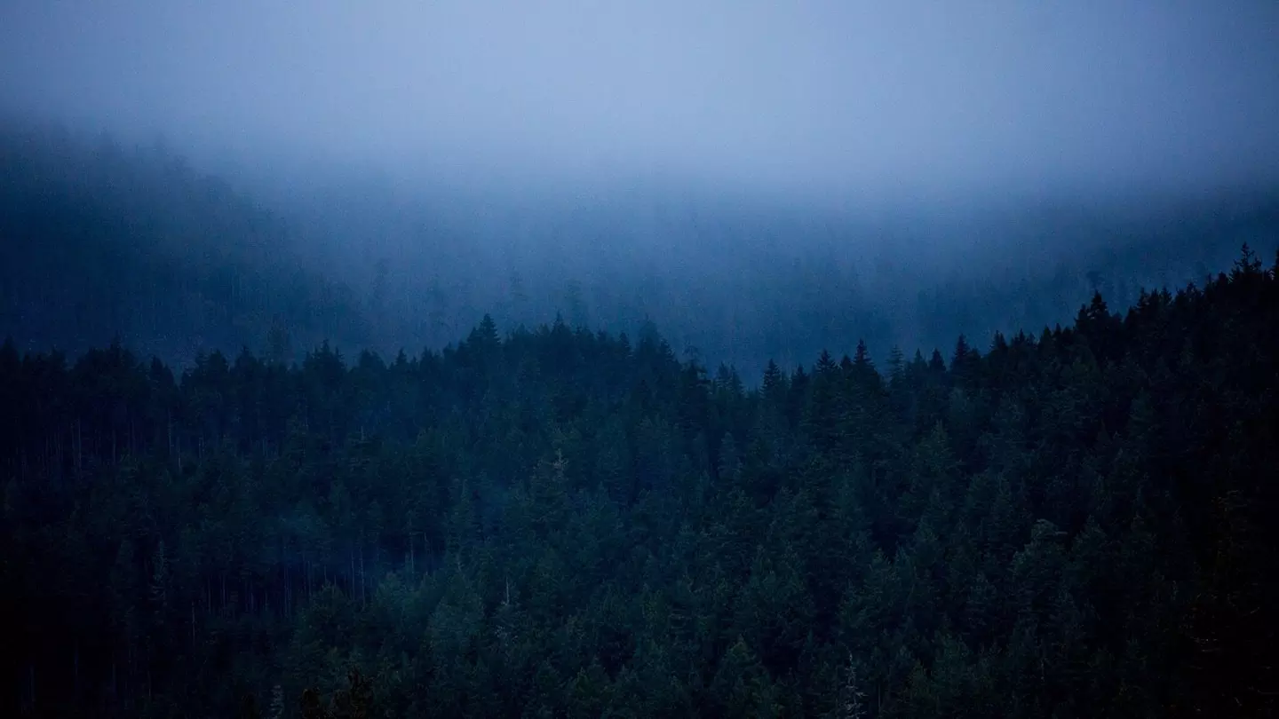 Placeholder Video Image