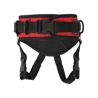 Ski Ties Kids' Ultimate Ski Harness