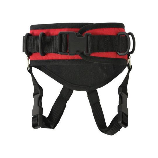 Ski Ties Kids  Ultimate Ski Harness