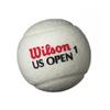 US Open Tennis Ball