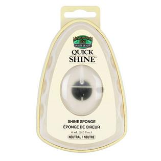 Moneysworth & Best Quick Shine™ Sponge