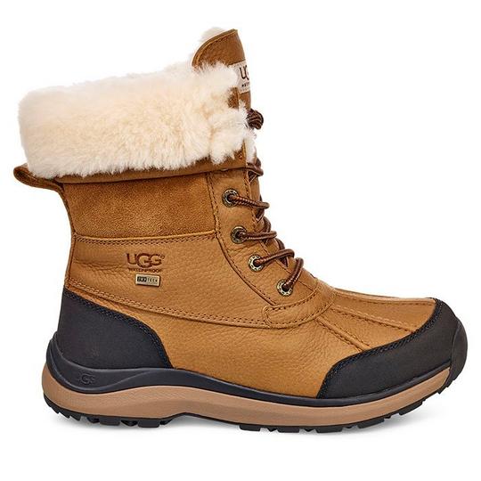 Women s Adirondack III Boot