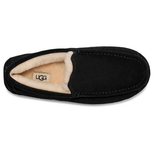 Men's Ascot Slipper | UGG | Sporting Life Online