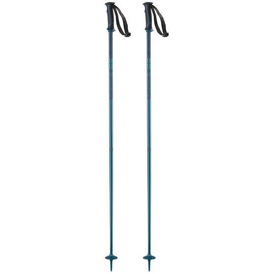 Salomon Arctic Ski Pole  2024 