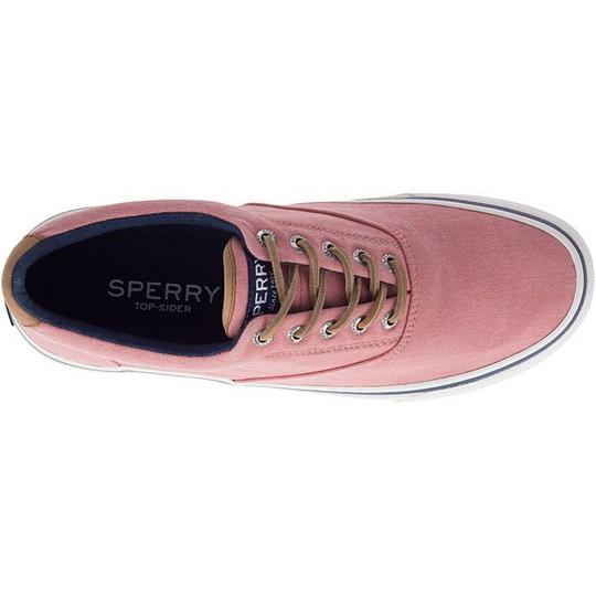 Men s Striper II CVO Sneaker Sperry Sporting Life Online