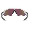 Radar  EV Path  Prizm  Sunglasses