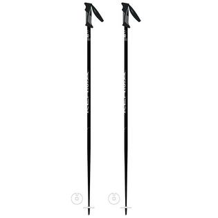 Vector Ski Pole [2025]