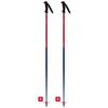 Juniors  Vector Team Ski Pole  2025 