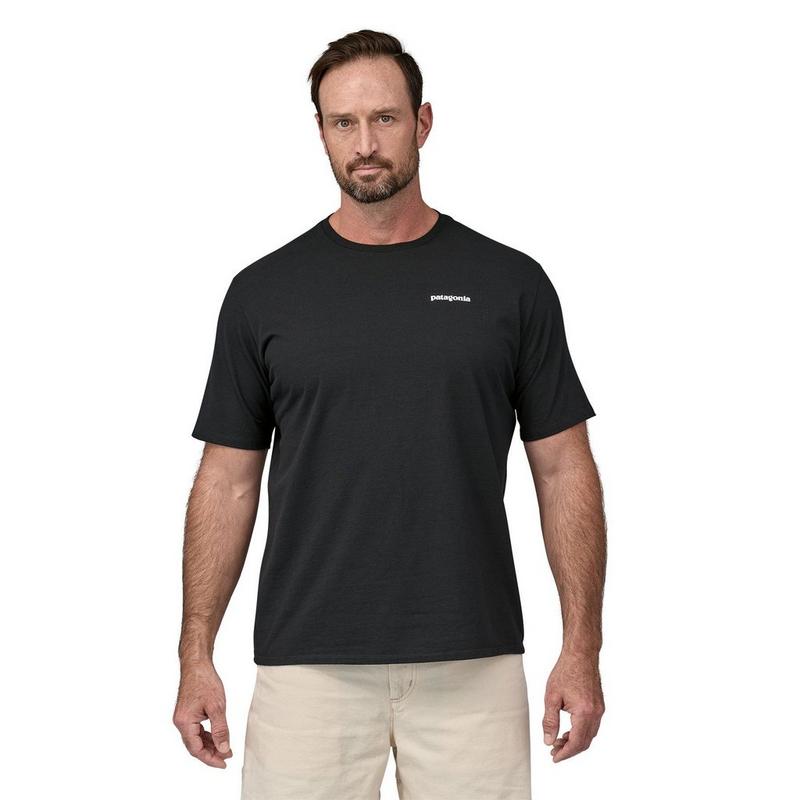 Patagonia T-shirt P-6 Logo Responsibili-Tee&reg; pour hommes