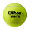 Balles de tennis Triniti