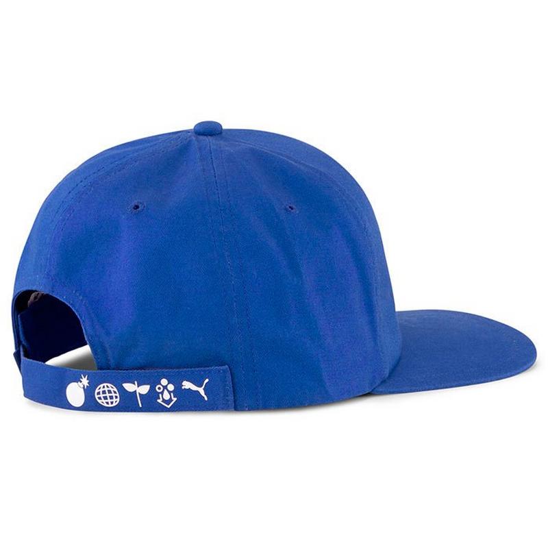 Puma Casquette The Hundreds pour hommes