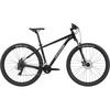V lo Trail 8  2021 