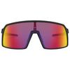 Sutro Sunglasses