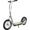 EcoSmart SUP Electric Scooter