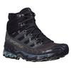 Men s Ultra Raptor II Mid GTX Hiking Boot