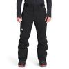 Men s Freedom Insulated Pant  Short 