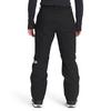 Men s Freedom Insulated Pant