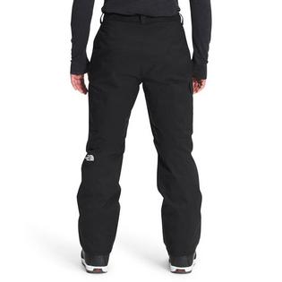 The North Face Men's Freedom Insulated Pant
