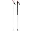 FT-600 Ski Pole  2022 