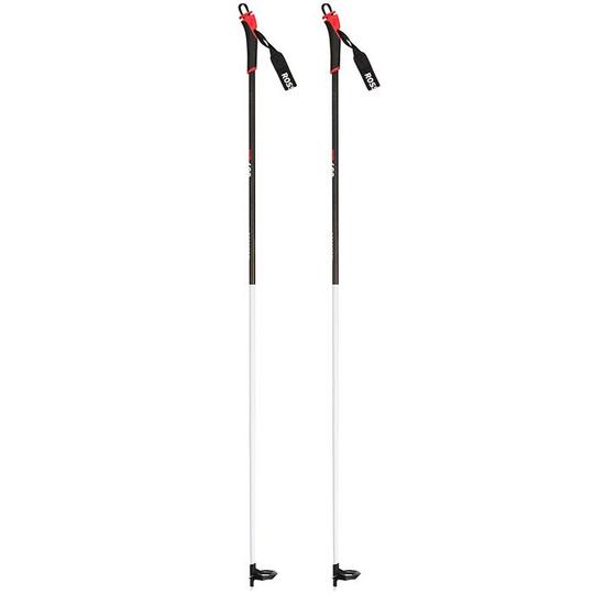 Rossignol FT-600 Ski Pole  2022 