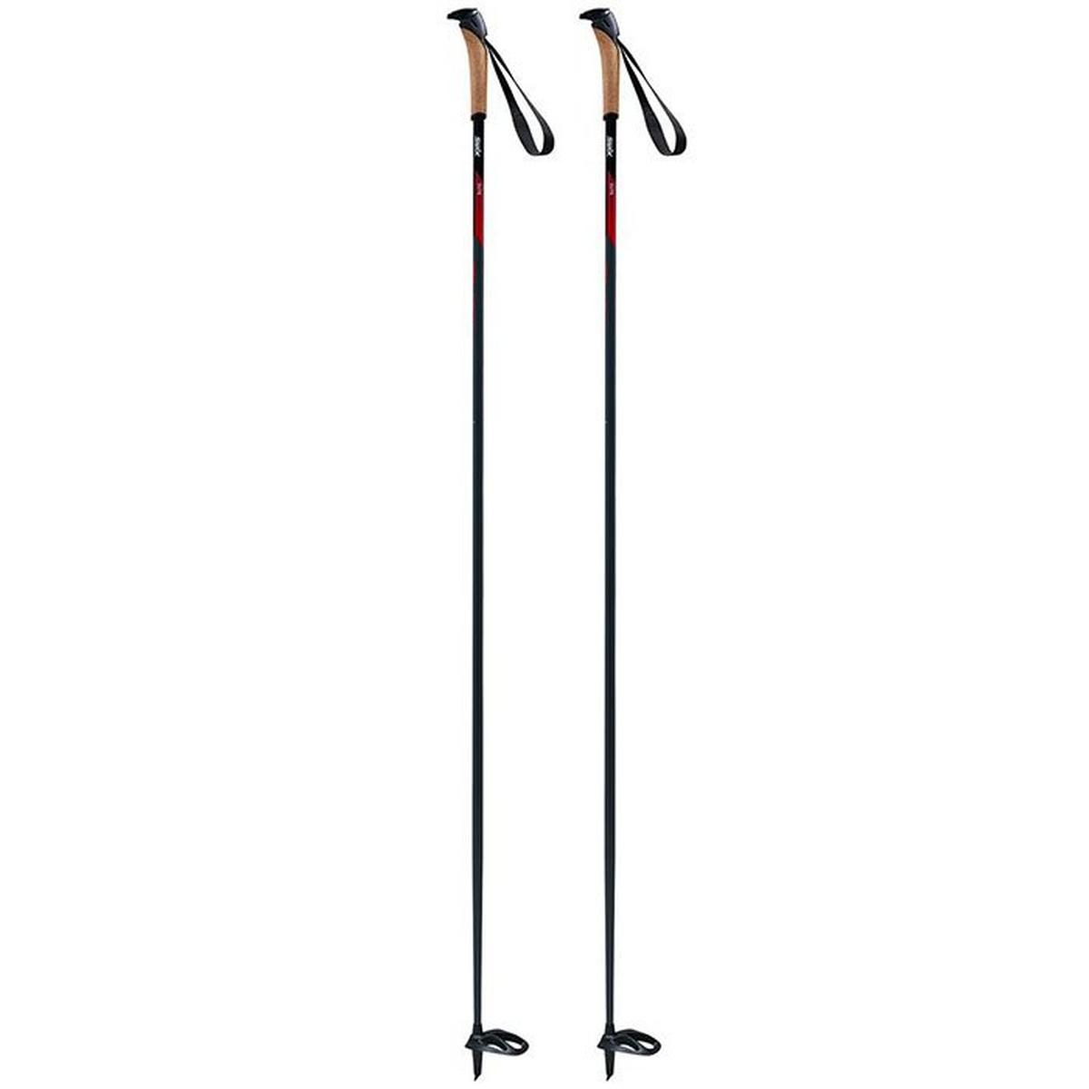 Elite Basic Ski Pole [2022]