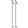 Elite Basic Ski Pole  2022 