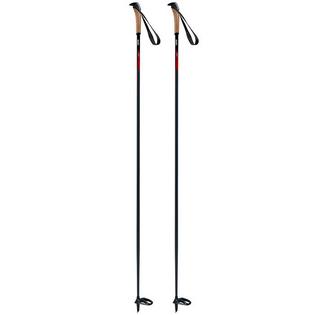 Swix Elite Basic Ski Pole [2022]
