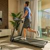 Stride Smart Treadmill
