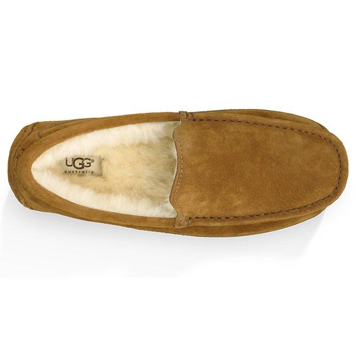Men's Ascot Slipper | UGG | Sporting Life Online