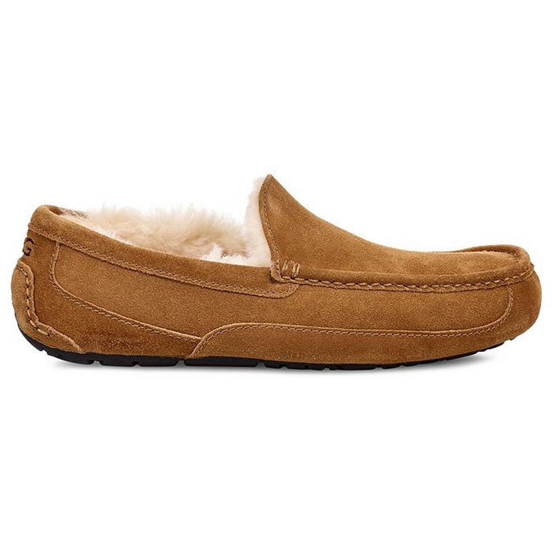 UGG Pantoufles Ascot pour hommes
