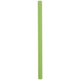 H2OGO! Aqua Bones Pool Noodle