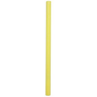 H2OGO! Aqua Bones Pool Noodle