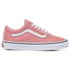 Unisex Old Skool Shoe