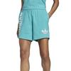 Women s Streetball Short