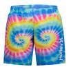 Boys   2-4T  Rashguard   Swim Trunk Two-Piece Set