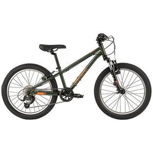 Garneau Boys' Trust 20 Bike
