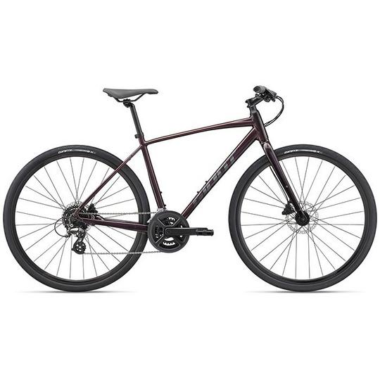 Giant Escape 2 Disc Bike