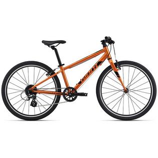 Giant boys mountain bike best sale