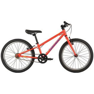 Vélo Neo 201 pour garçons