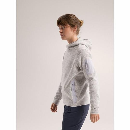 Arc'teryx Covert Sweater Women's Mサイズ Women's COVERT SWEATER - 山の店 デナリ