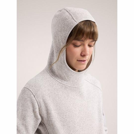 Arc'teryxアークテリクスCovert LT Pullover Arc'teryx Covert LT Pullover | Pack Hacker