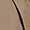 Havane | Manteau Typha pour femmes