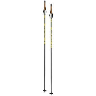 Infinity Basic Alu Ski Pole [2023]