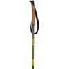 Infinity Basic Alu Ski Pole  2023 