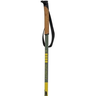 Swix Infinity Basic Alu Ski Pole [2023]