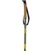 Infinity Touring Alu Ski Pole  2023 